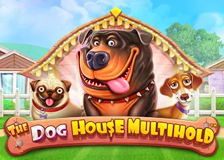 rich555 The Dog House Multihold ทดลองเล่นฟรี